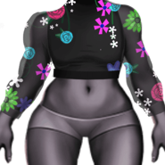 Dandeleon Turtleneck Top 19 core crystals Wardrobe