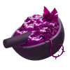 Dried Pulp