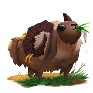 Shashi Dig Site 250 words/25 minutes