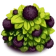 PuffFlowers6.png (167 KB)