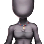 Teco Shell Necklace Wardrobe Item 10