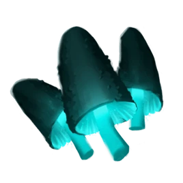 Cave-mushroom