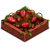 StrawberryPatch