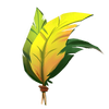 Feathers