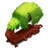 CrookedTree