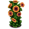 WildSunflowers