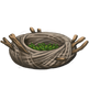 Lorsa Nest