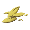 Yellow Uurwall Seeds