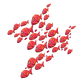 Puna