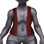 Desert expedition vest.png (57 KB) Desert Expedition Vest 50 Desert Expedition Tokens