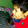 Mohamed1234560
