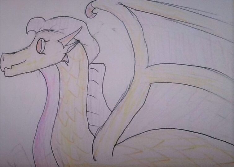 Discuss Everything About Wings of Fire Wiki Fandom