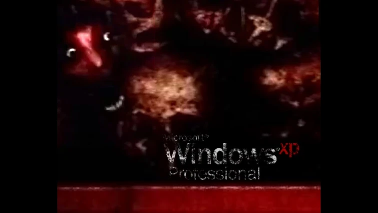 windows_xp_update.mp4