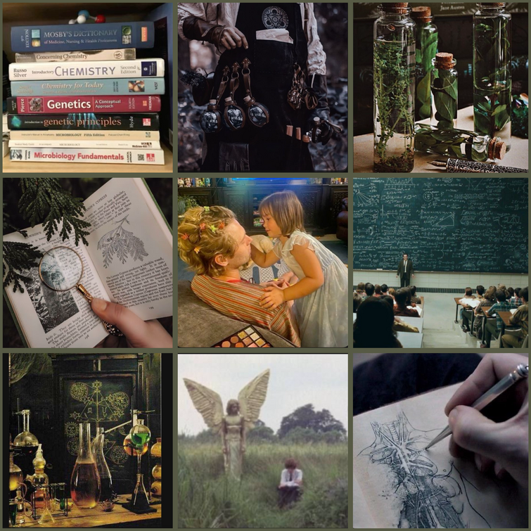 Fandom Image