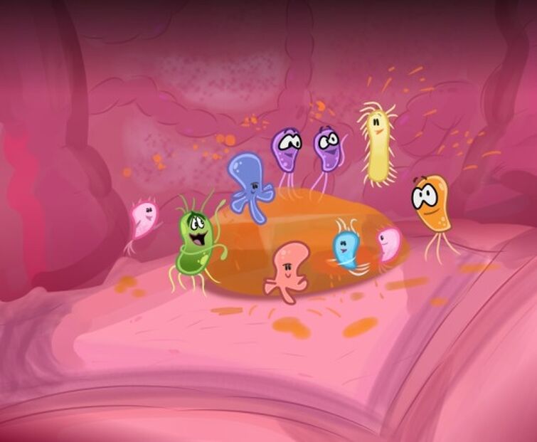 Viral Stomach Bug 2025 Gabbi Joannes
