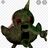 Dreadduckyboys Profilbild