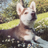 JasonHye's avatar