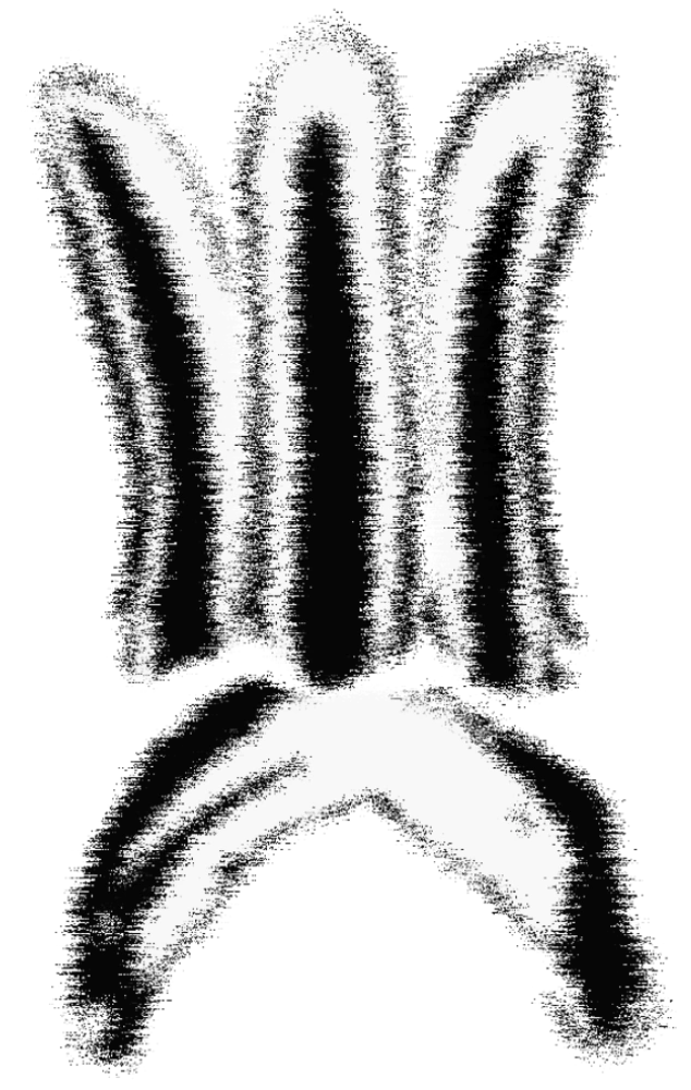 a-300-edit-coming-soon-for-corrupted-a-300-fandom