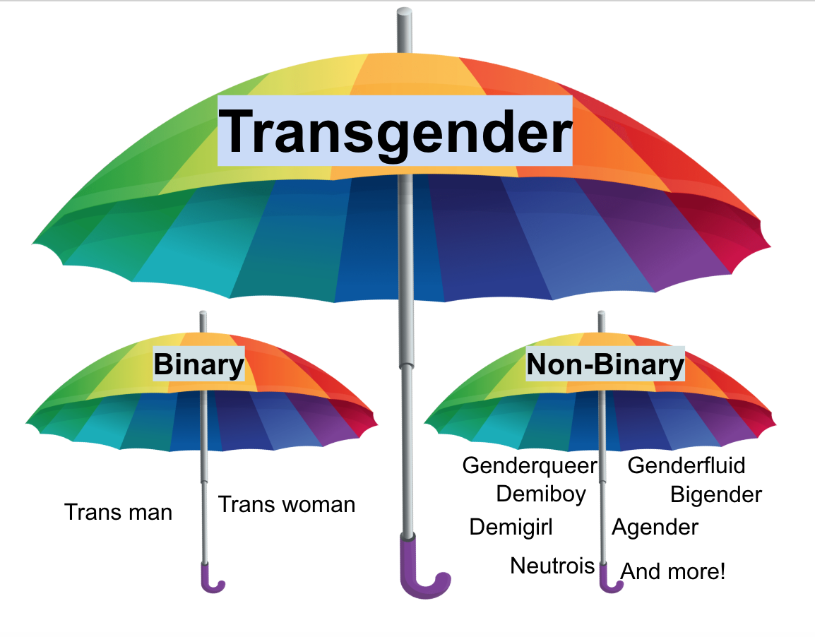A depiction of the "trans umbrella." One large umbrella is labeled "transgender." Underneath that umbrella, there are two more umbrellas, titled "binary" and "nonbinary." Under the binary umbrella are the terms trans man and trans woman. Under the nonbinary umbrella are the terms genderqueer, demiboy, demigirl, neutrois, genderfluid, bigender, agender, "and more!"