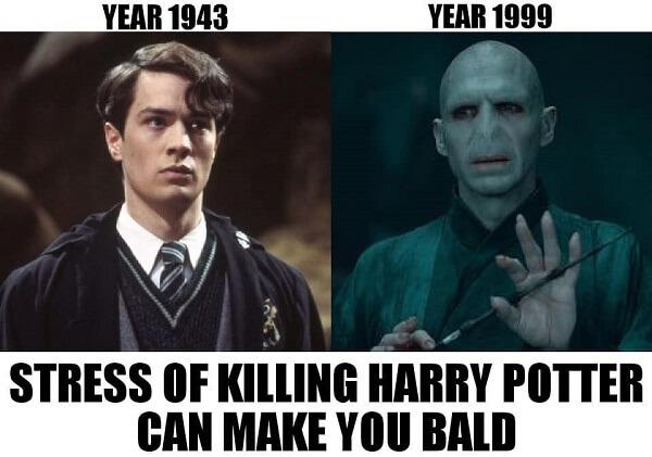 I am really bored so some Voldemort memes