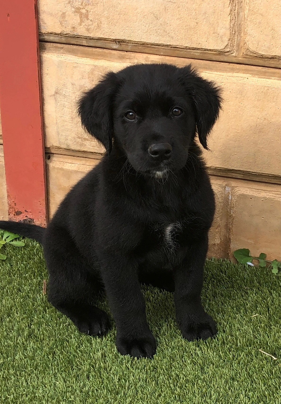 So how is everything today? And I wanna ask what school like for you