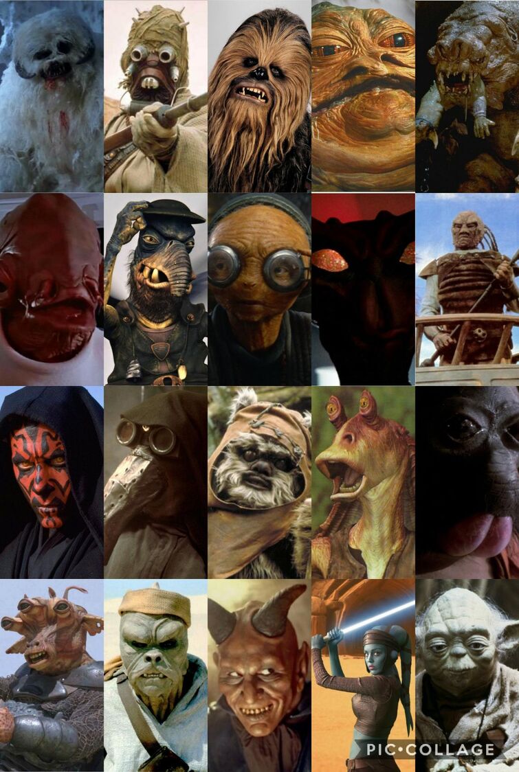 What Star Wars Species would you be? | Fandom