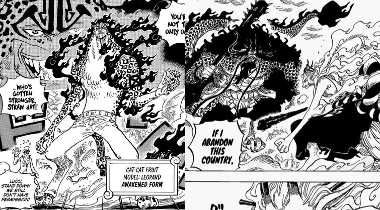 One Piece Devil Fruits Guide: Their Types and Awakening