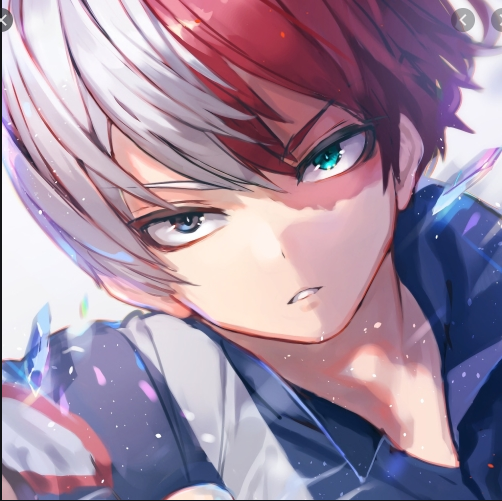 todoroki | Fandom