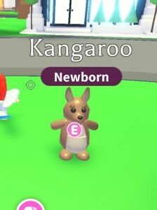 Trading Kangaroo 3 Fandom - new kangaroo pet in adopt me australian egg update roblox adopt