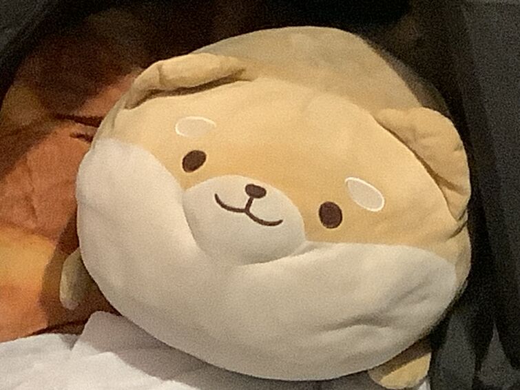 Fandom Image