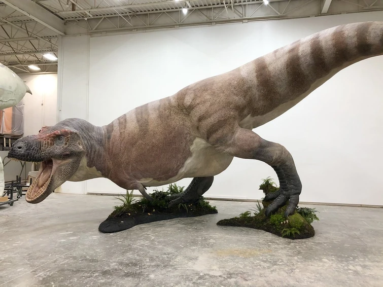 Rate these animals Fandom