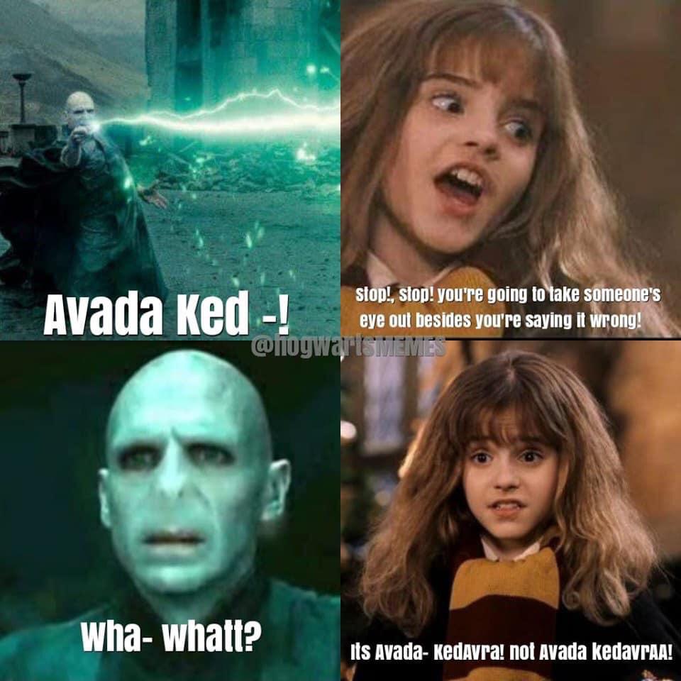 HARRY POTTER MEMES #1 