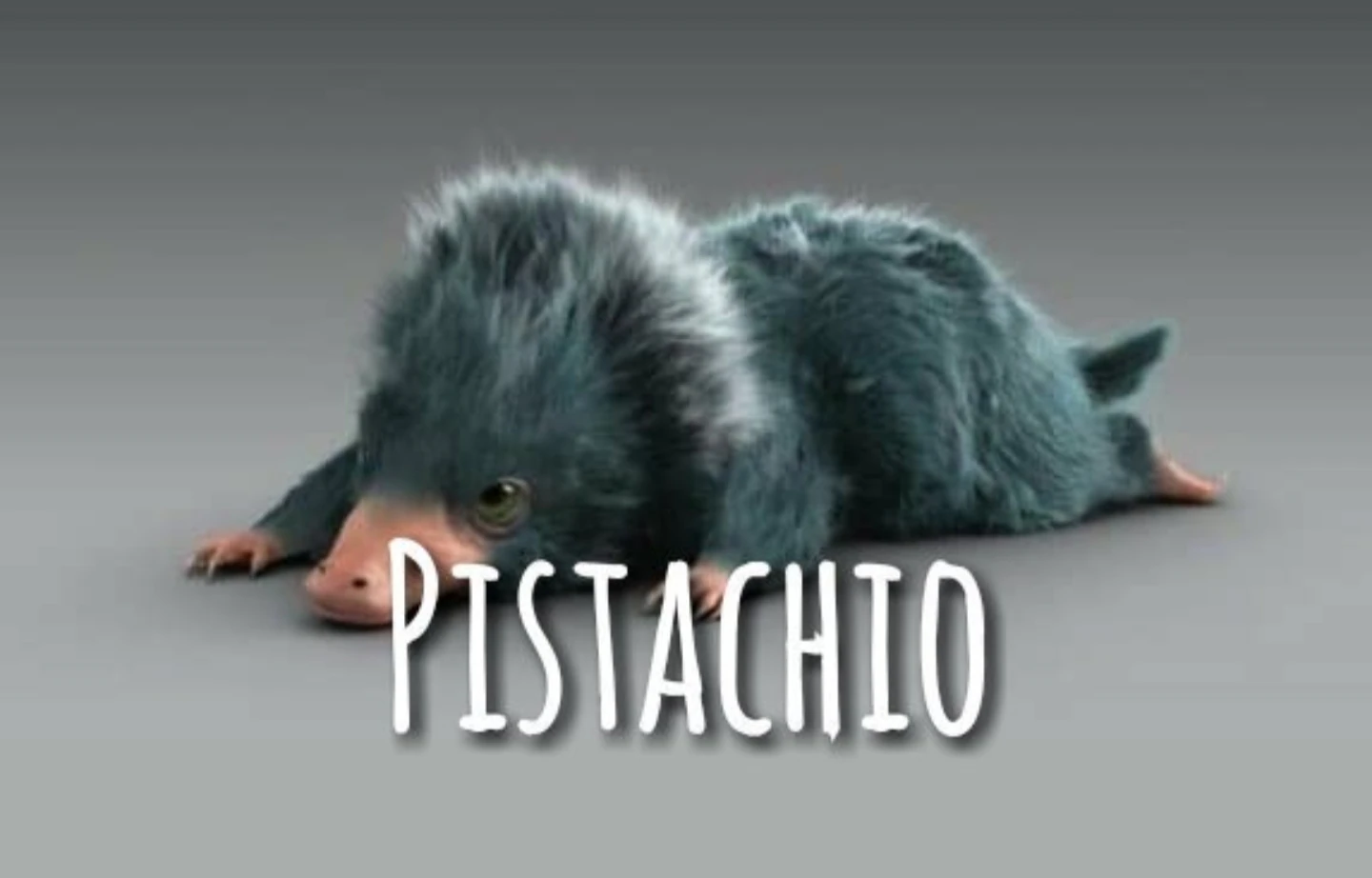 Baby Niffler names! Fandom