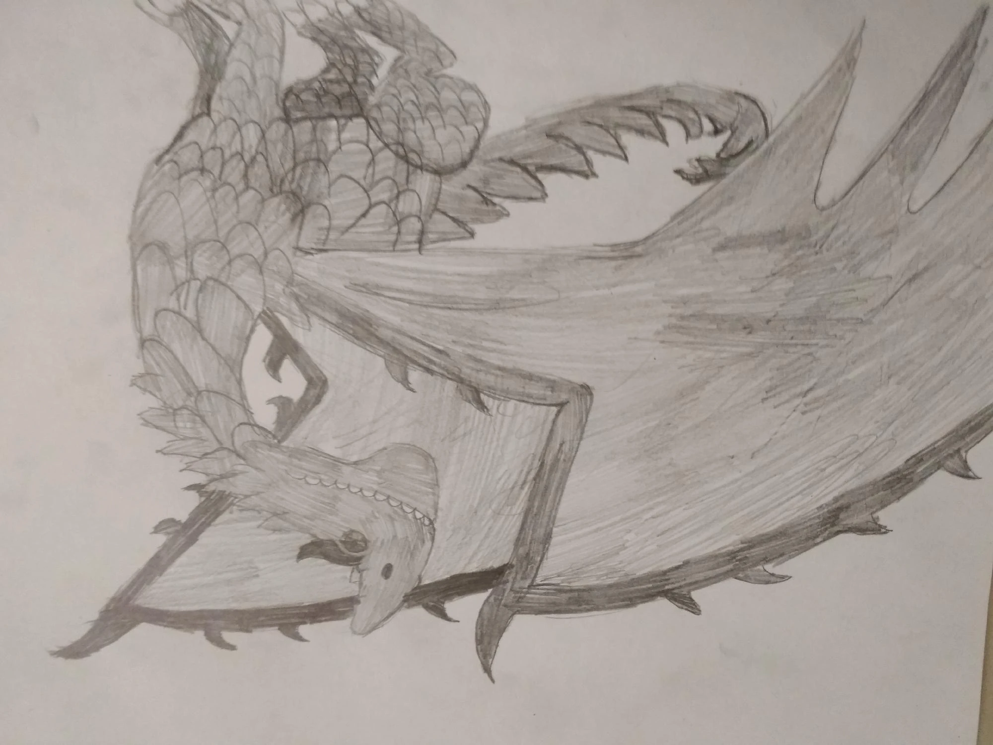 Как нарисовать шипореза дракона