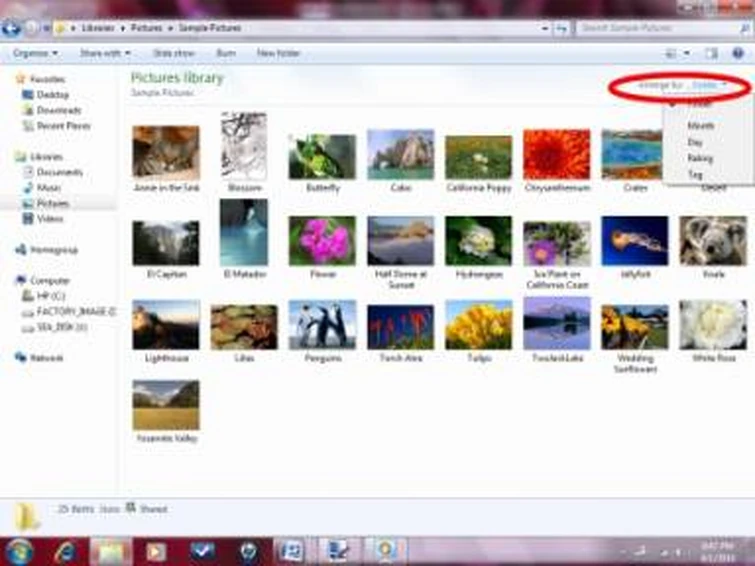 Discuss Everything About Windows Wiki | Fandom