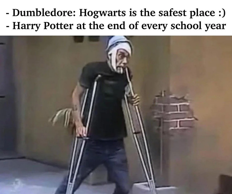 Harry Potter and the Fresh Hermione Meme : r/memes