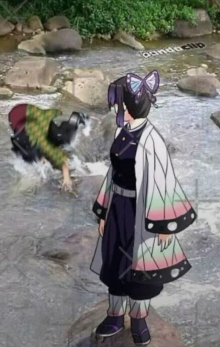 Demon Slayer Memes Fandom