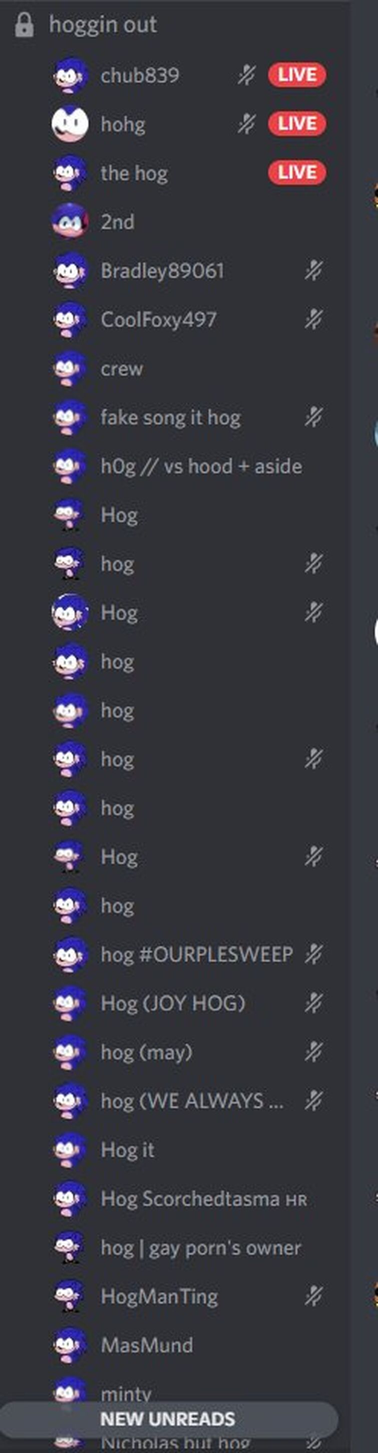 Hog has taken over discord | Fandom
