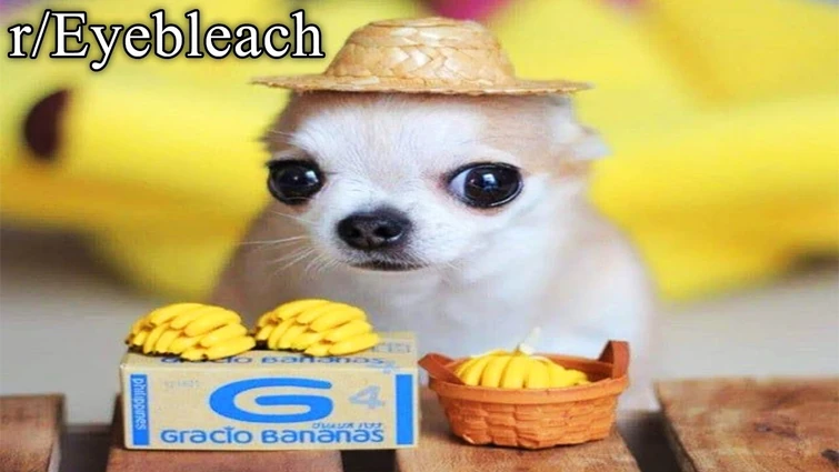 That Intro Sounds Familiar Fandom