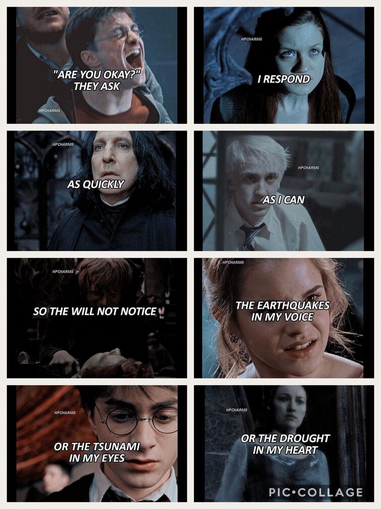 Is the Harry Potter Fandom Okay?, Fandoms