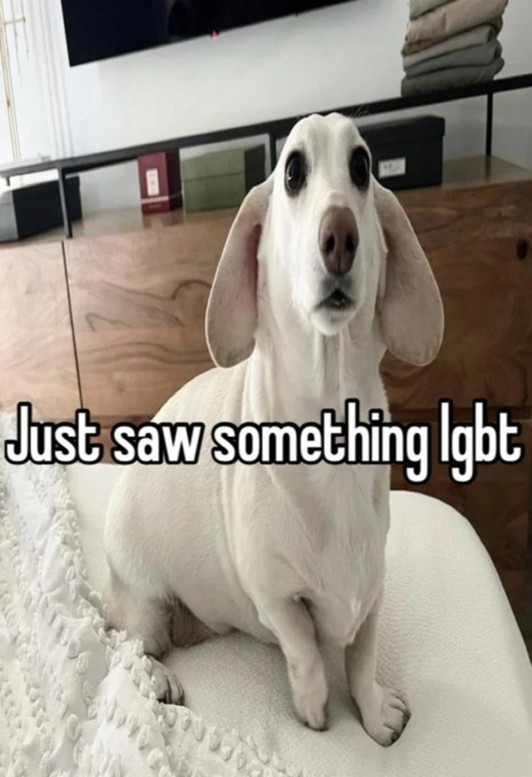 have homophobic dog meme Fandom