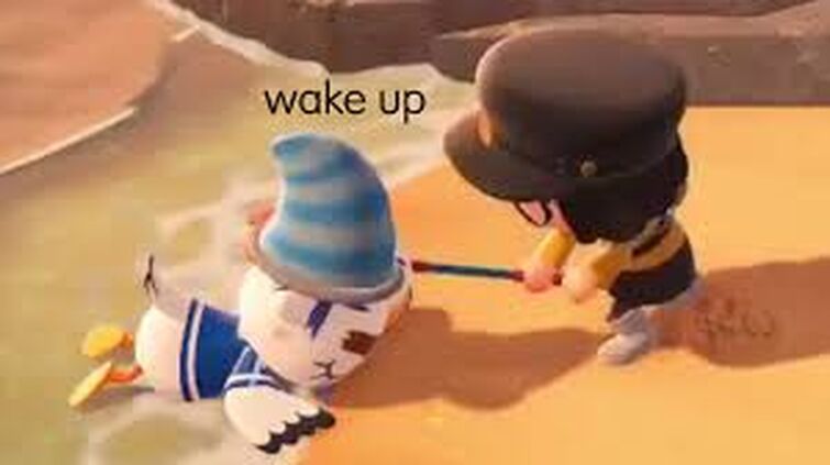 Funny moments online in animal crossing