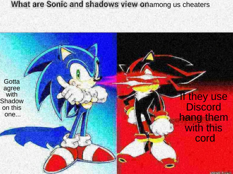 Sonic and shadow's views on Blank Template - Imgflip