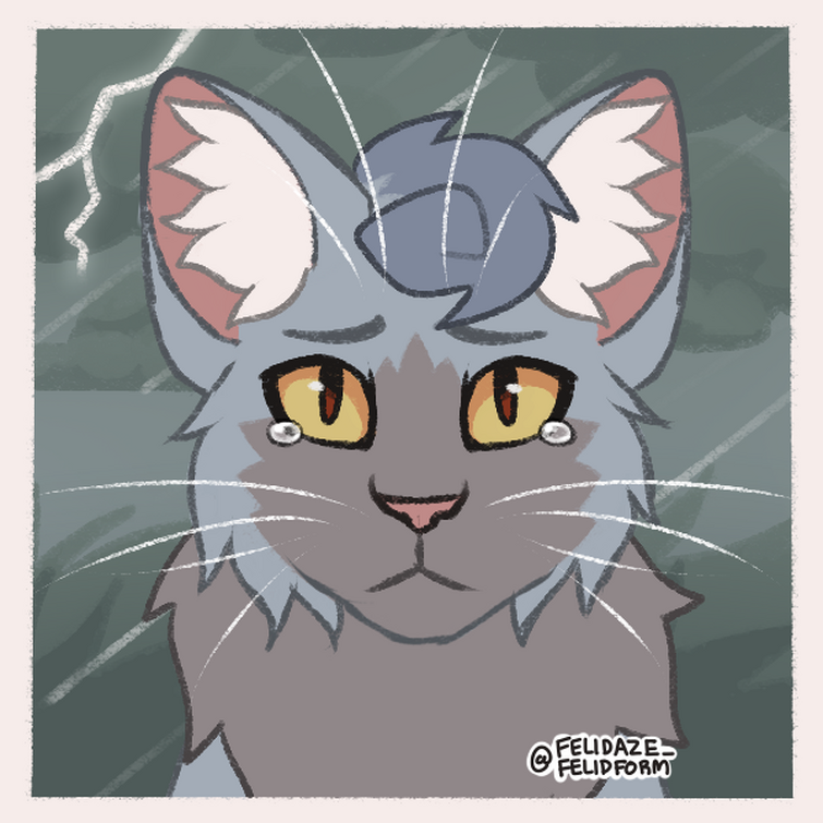 feliday ✦ on X: my warrior cats picrew probably    / X