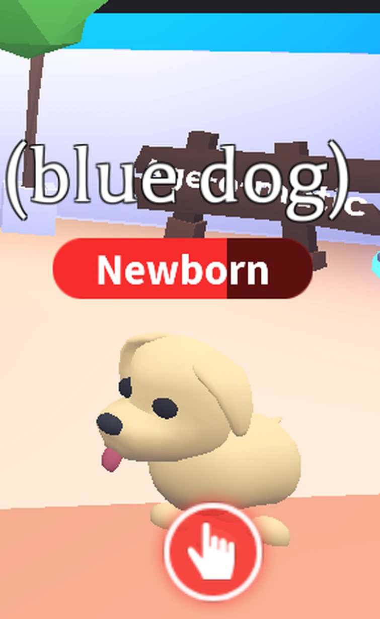 Discuss Everything About Adopt Me! Wiki Fandom