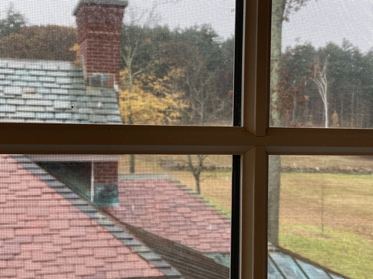 good Morning Loud House Wiki And Also Right Now It’s Snowing In My Area