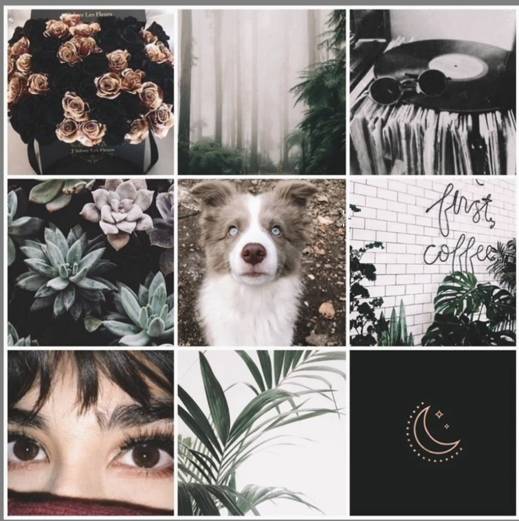 Pattern ideas please? | Fandom