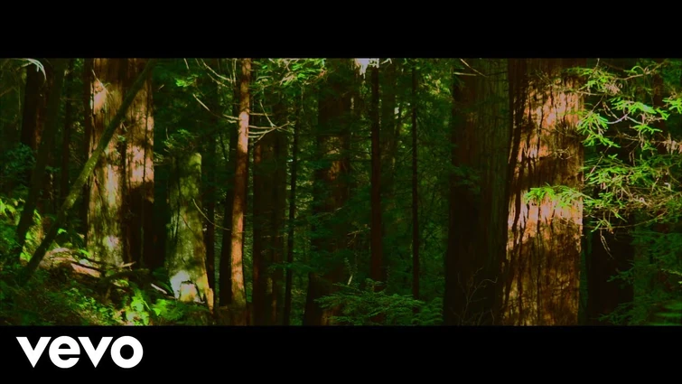 slenderbodies - dewdrops (Official Lyric Video)