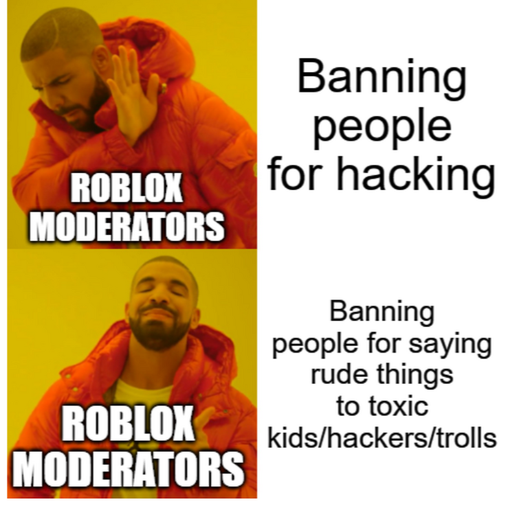 Roblox Moderation Meme