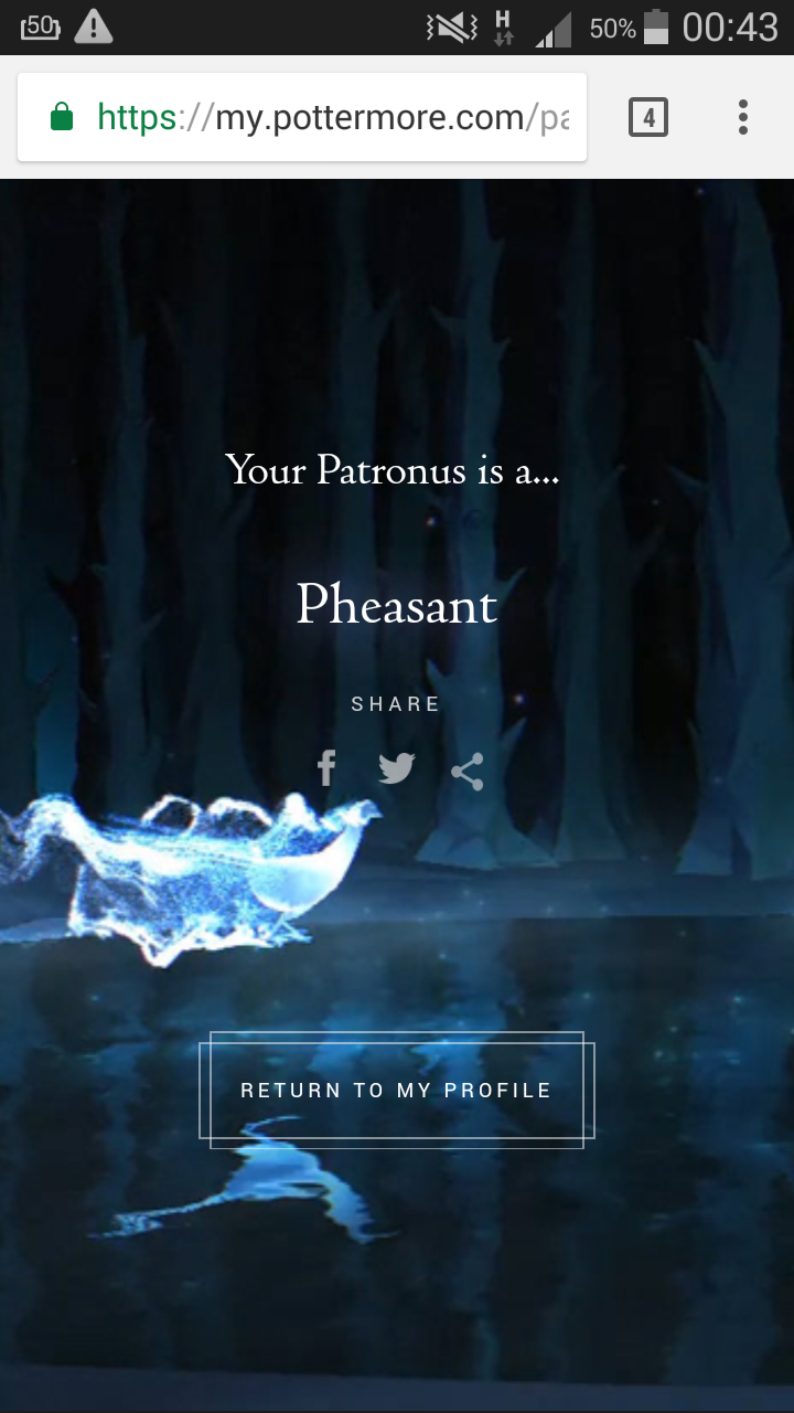 Kann man einen Drachen als Patronus haben?